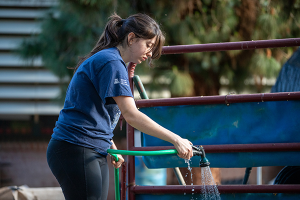 A woman waters the garden with a hose