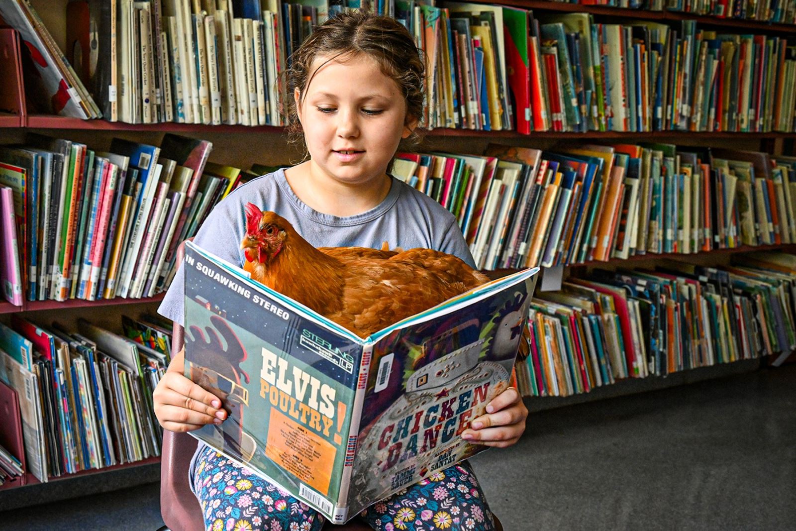 Lucy the chicken enjoys reading books, especially ones about chickens!